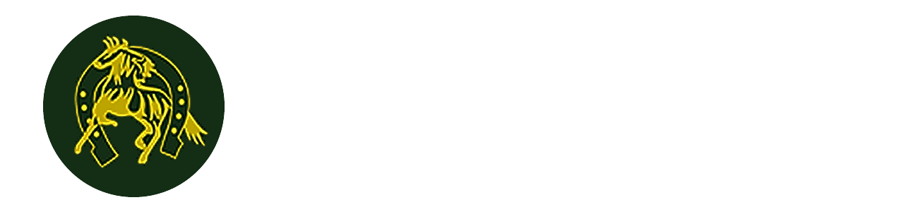Equizen